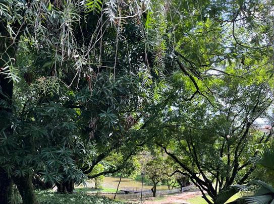 Terreno &agrave; venda,936 m&sup2;- Condom&iacute;nio  Rancho Dirce - Sorocaba - SP Rua Mário Guilherme Notari Sorocaba - 