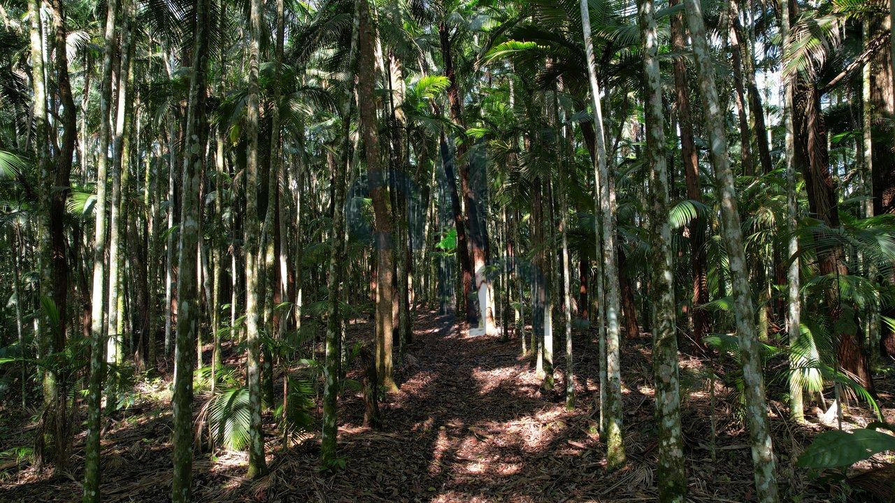Sítio Reviver! Um paraíso a venda! IMÓVEL EXCLUSIVO! - Ibirama - 