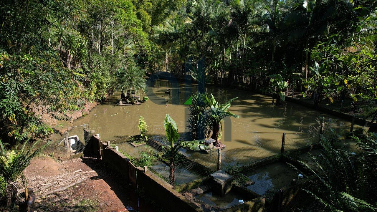 Sítio Reviver! Um paraíso a venda! IMÓVEL EXCLUSIVO! - Ibirama - 