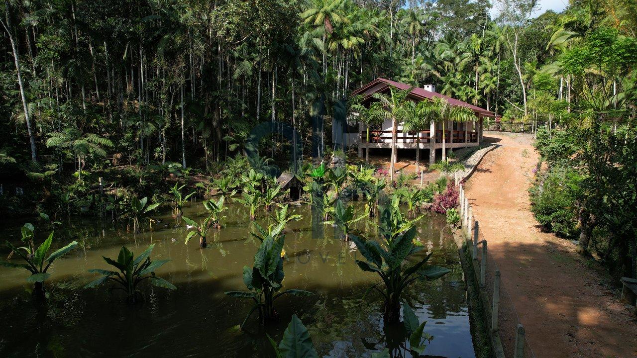 Sítio Reviver! Um paraíso a venda! IMÓVEL EXCLUSIVO! - Ibirama - 