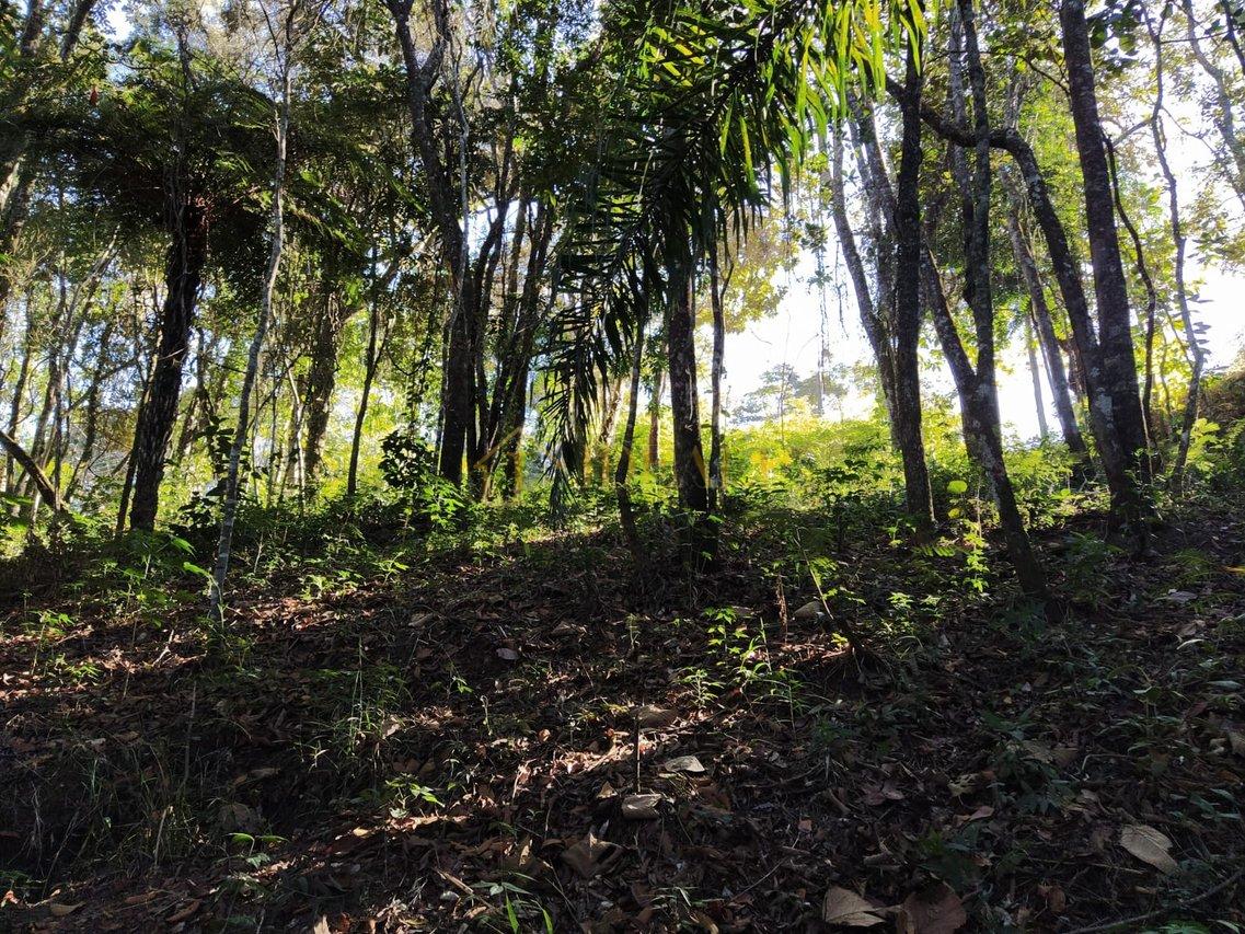 Terreno à venda, 1000 m² por R$ 240 mil  - Jardim Lago da Cantareira /SP - Mairiporã Alameda Lagoa bonita - rio abaixo  Mairiporã - 