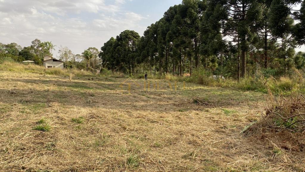 Belo Terreno em Atibaia - Atibaia - 