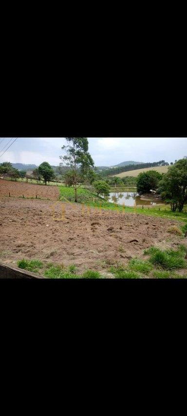 TERRENO AMPLO EM VARGEM SP - Várgem - 