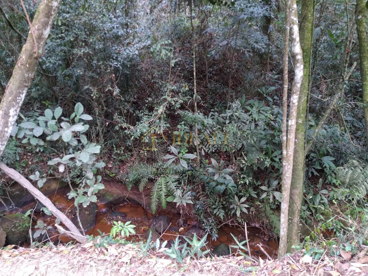 CASA NA SERRA DA CANTAREIRA ( ACEITA FINANCIAMENTO ) CONDOMINIO FECHADO RUA GRAVATA  Mairiporã - 