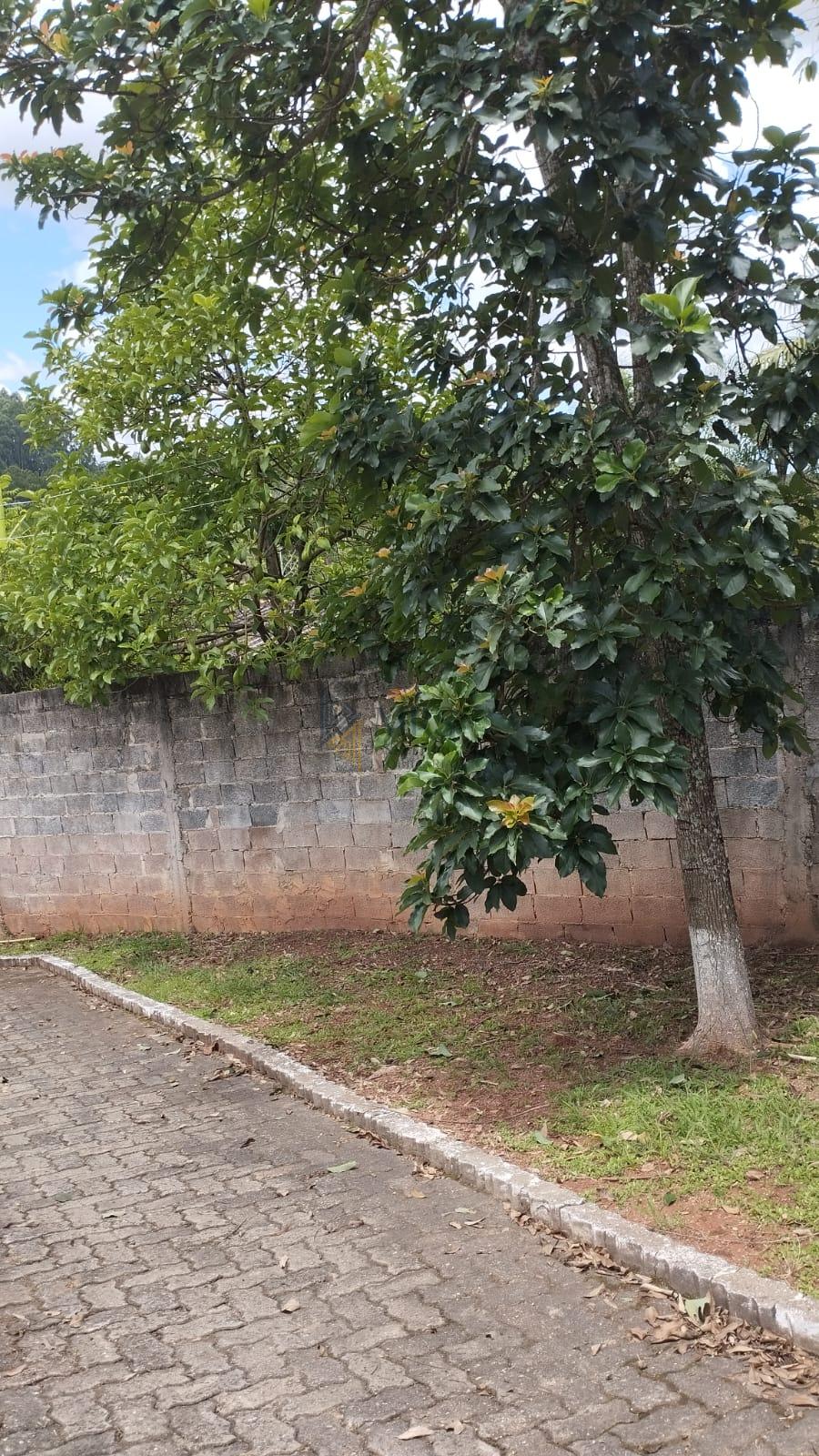 Chácara, 3 quartos, 300 m² - Foto 15