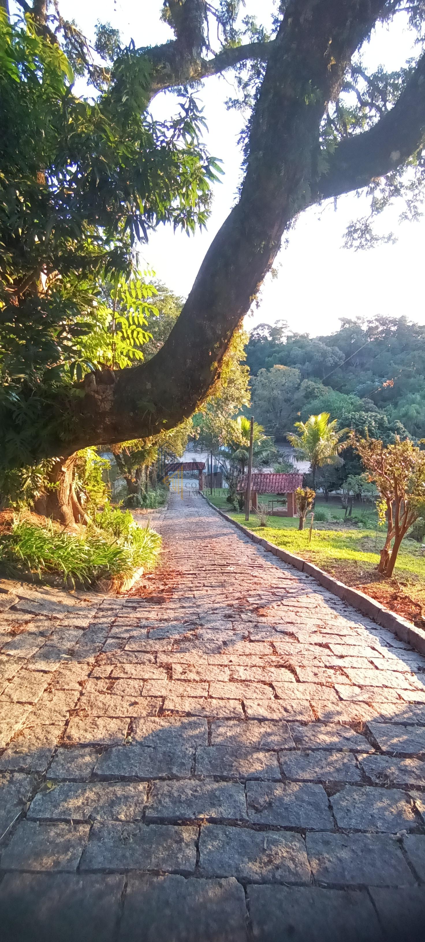 Chácara, 3 quartos, 5000 m² - Foto 31