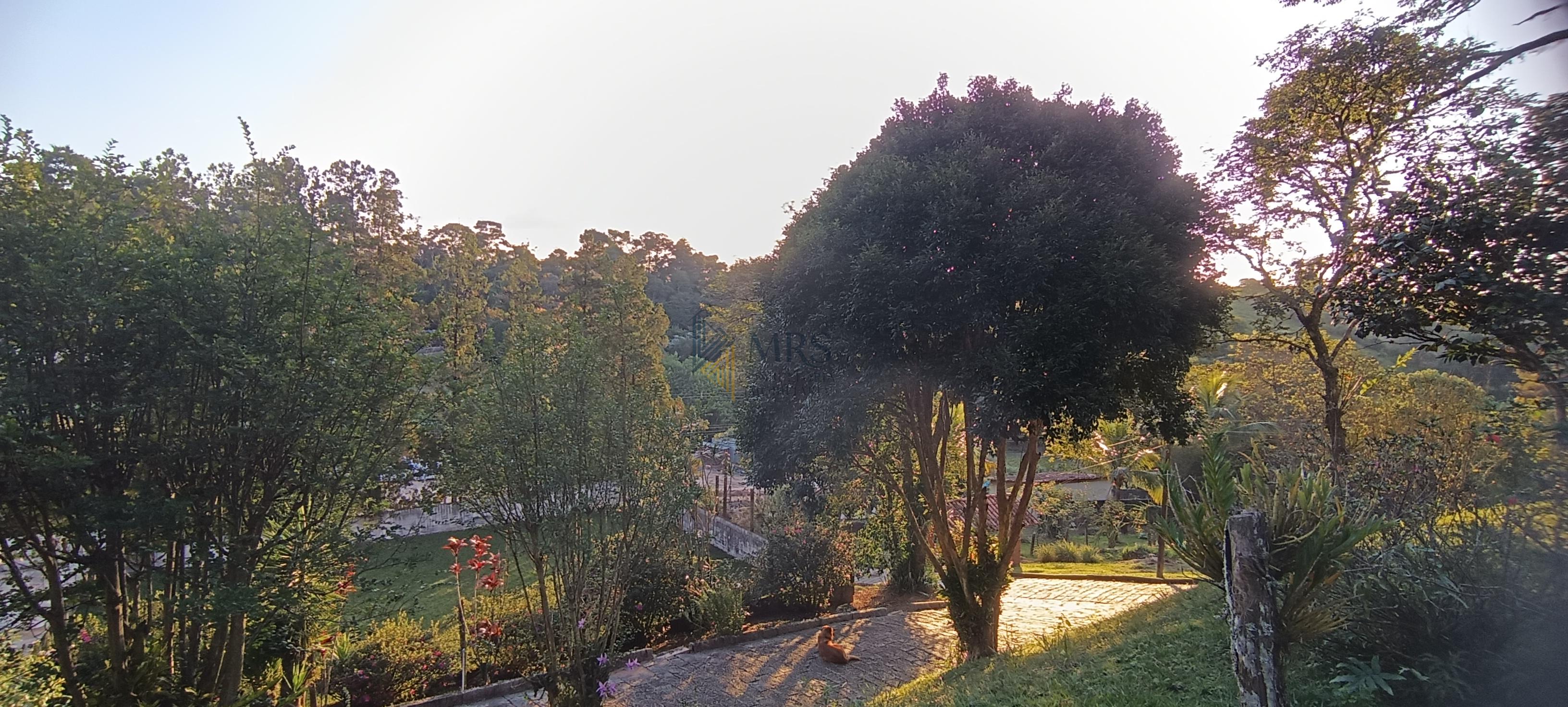 Chácara, 3 quartos, 5000 m² - Foto 2