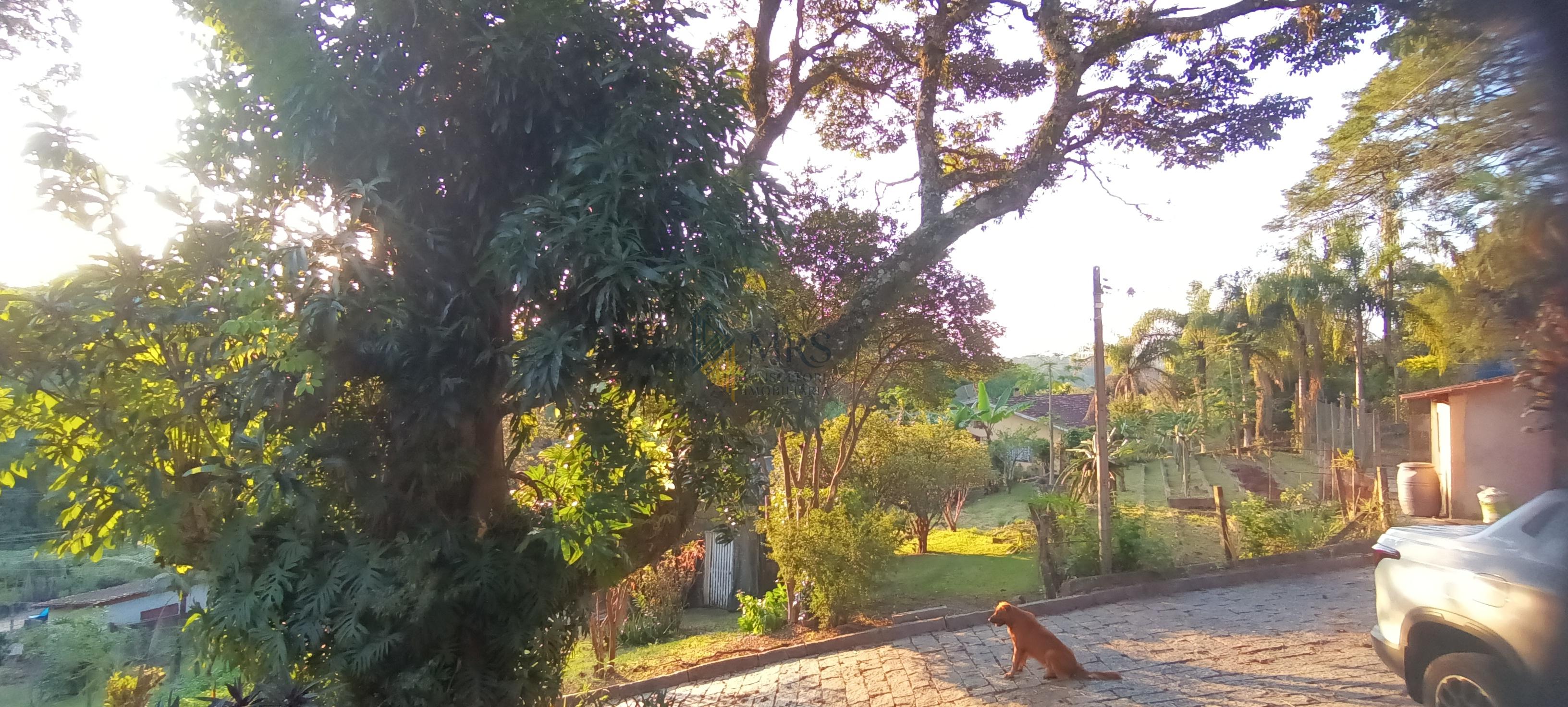 Chácara, 3 quartos, 5000 m² - Foto 28