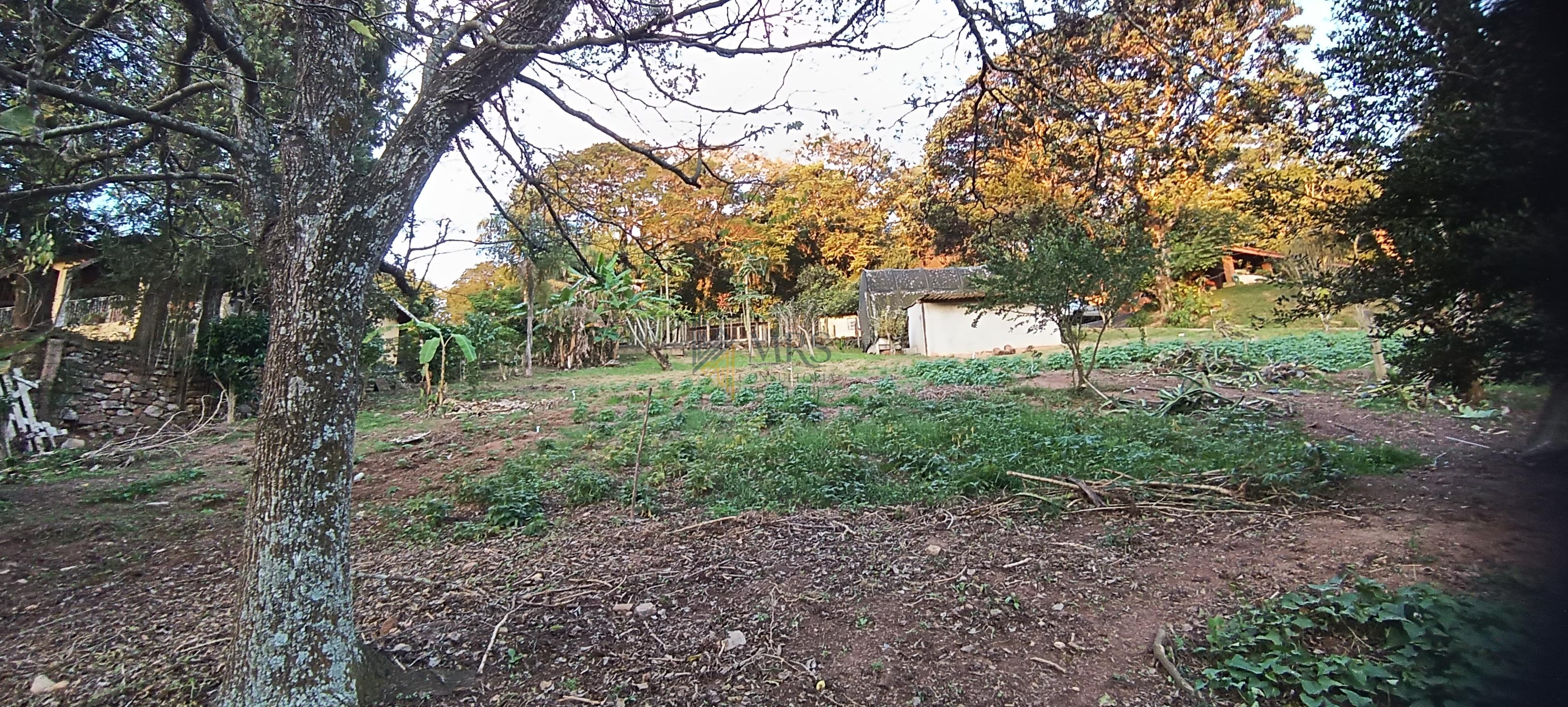 Chácara, 3 quartos, 5000 m² - Foto 53