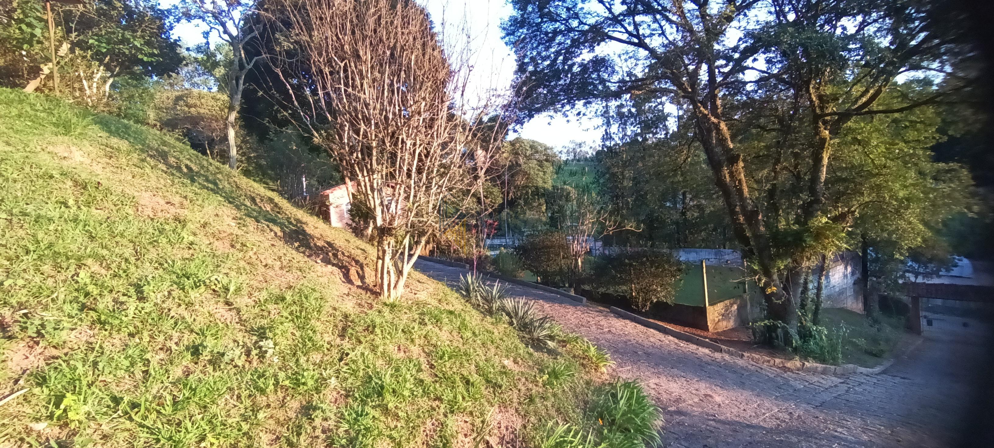 Chácara, 3 quartos, 5000 m² - Foto 35