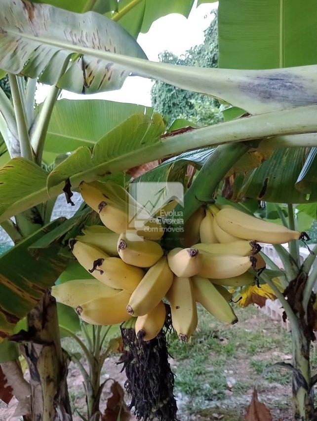 Casa com 5/4 (2 suítes, um ofurô). Privacidade, ótima localização e muita natureza! Rua Direta da Capiarara Lauro de Freitas - 