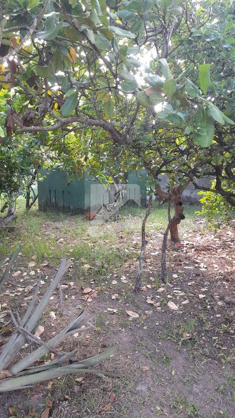 Casa tipo sítio na Estrada do Coco - Abrantes Rua da Malícia Camaçari - 