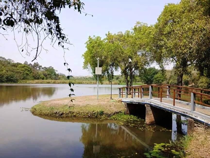 Terreno em Condomínio - Bella Vittá - Caçapava - Venda - Caçapava - 
