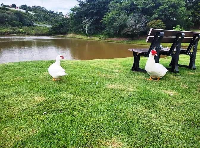 Terreno em Condomínio - Jacareí - Venda - Jacareí - 