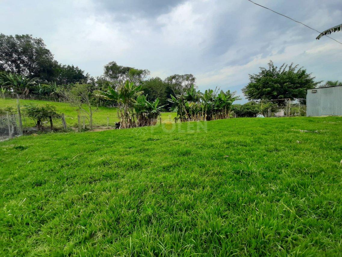 Chácara - Pagador de Andrade - Jacareí - Vende - Aluga - Permuta  Jacareí - 