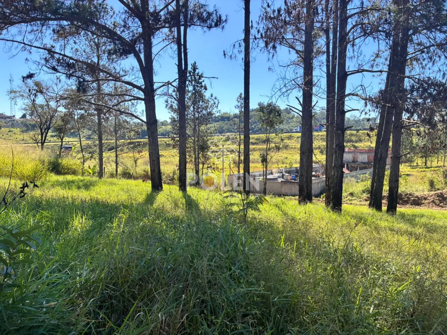 Terreno - Veraneio Ijal - Jacare&iacute; - Vende Rua Jaçanã Jacareí - 