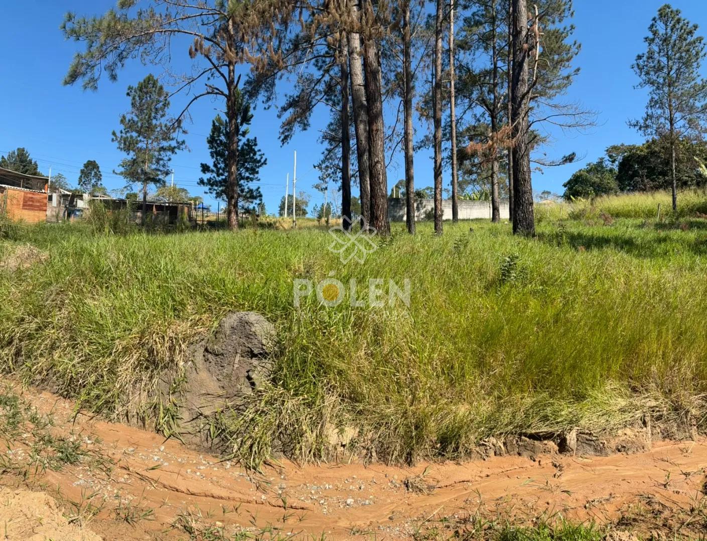 Terreno - Veraneio Ijal - Jacare&iacute; - Vende Rua Jaçanã Jacareí - 