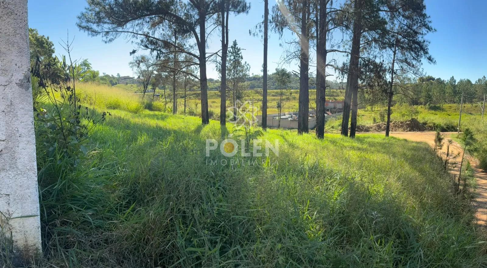 Terreno - Veraneio Ijal - Jacare&iacute; - Vende Rua Jaçanã Jacareí - 