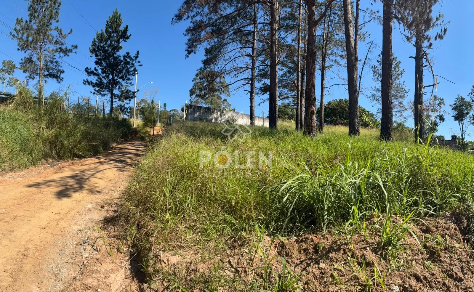 Terreno - Veraneio Ijal - Jacare&iacute; - Vende Rua Jaçanã Jacareí - 