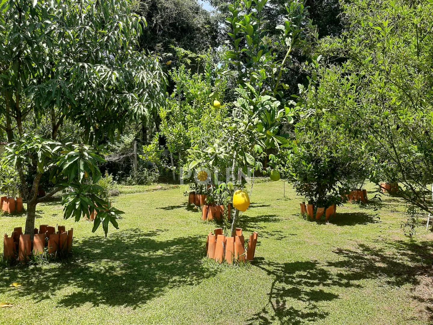Ch&aacute;cara - Santa Branca / SP - Vende  Santa Branca - 