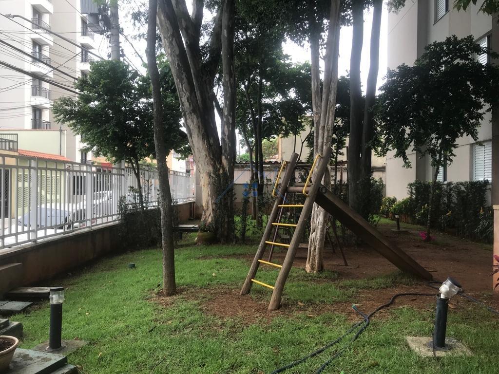 Apartamento na Vila Amália 2 dorm 1 vaga Rua Domingos José Sapienza São Paulo - 