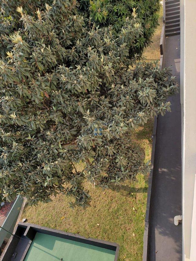 Apartamento Casa Verde 3 dorm 1 vaga Rua Lavinio Salles Arcuri São Paulo - 