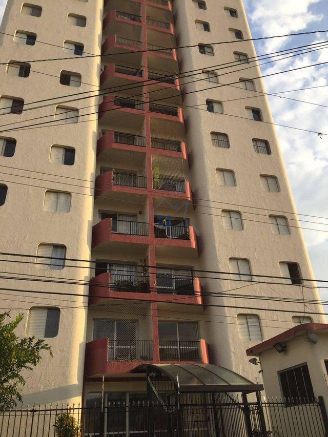 Apartamento Casa Verde 3 dorm 1 vaga Rua Lavinio Salles Arcuri São Paulo - 