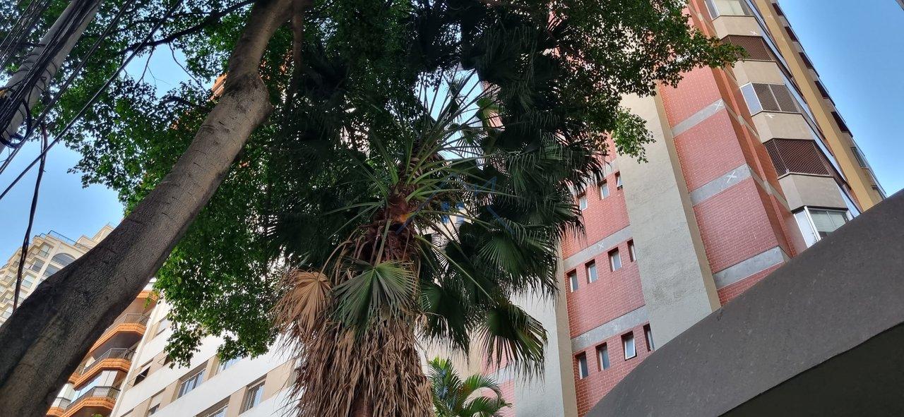 Apartamento Santa Cecília 2 dorm 1 vaga Rua Tupi São Paulo - 