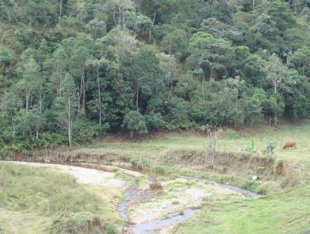 Fazenda Histórica no Vale do Paraíba Fazenda Santa Lídia PIQUETE - 