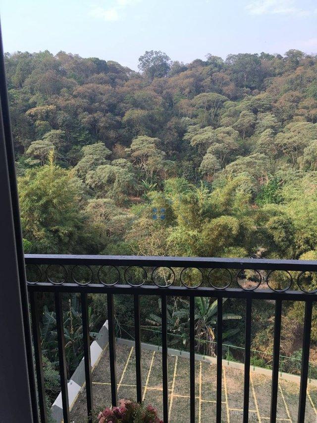 Apartamento no Tremembé 2 dorm 1 vaga Avenida Senador José Ermírio de Moraes São Paulo - 