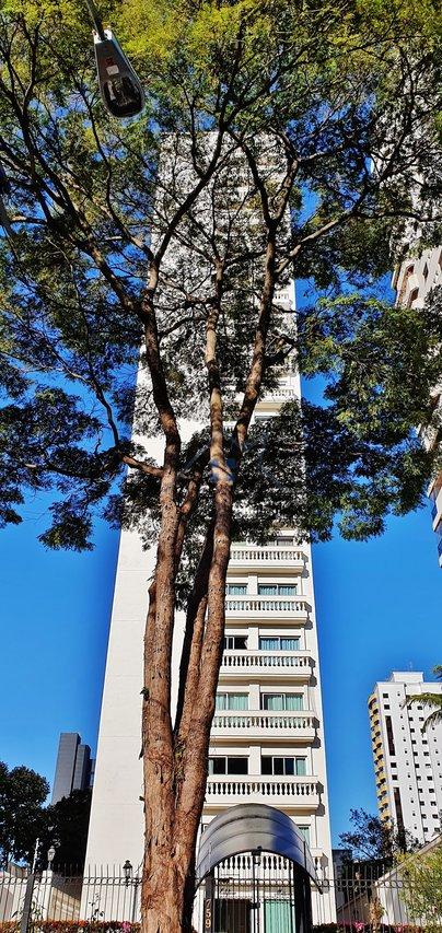 Apartamento no Cambuci 200 m² 3 dorm 1 suíte 3 vagas Rua Paulo Orozimbo São Paulo - 