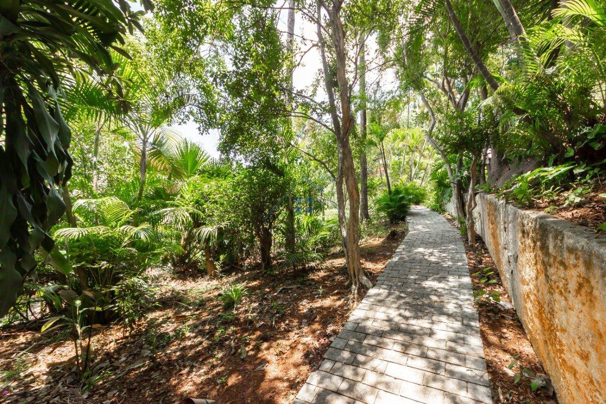Casa no Sumaré 333m² 3 dorm 1 suíte 2 vagas Rua Petrópolis São Paulo - 