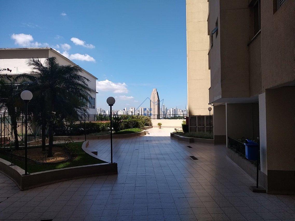 Apartamento 65m² no Jd das Laranjeiras 2 dorm 1 suíte 2 vagas Rua Reims São Paulo - 
