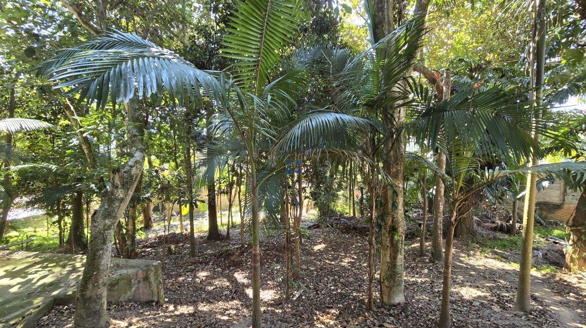 Casa 465m² em Mairiporã 5 dorms sendo 3 suítes 8 vagas Avenida dos Coqueiros Mairiporã - 