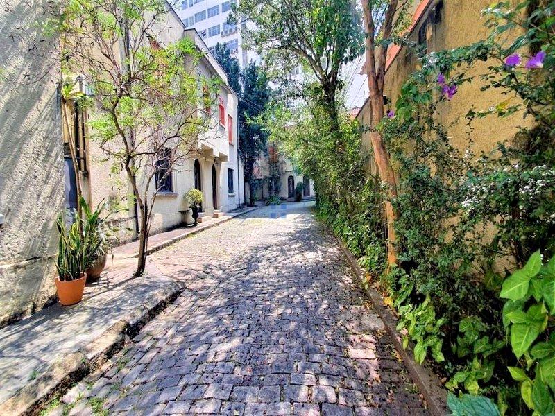Casa de Vila Locação Higienópolis 75 m2 Residencial ou Comercial  São Paulo - 