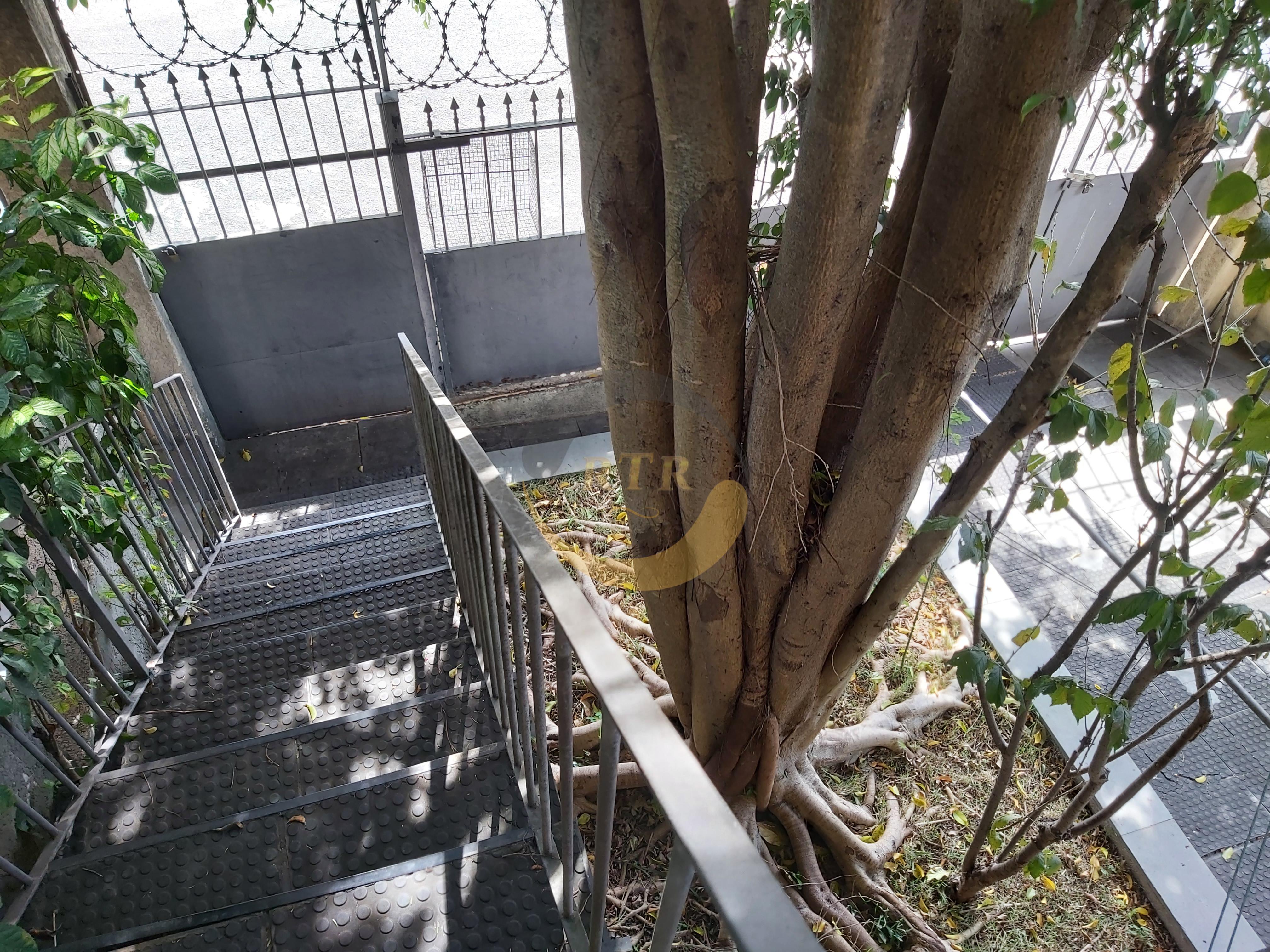 Casa T&eacute;rrea, 3 Quartos, 1 Suite, Escrit&oacute;rio Fundos, Copa e Banheiro, 7 Vagas, Monte Kemel  São Paulo - 