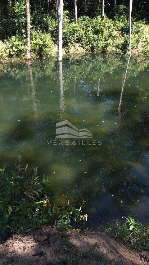 Sítio com 45 hectares no final do Cristal da Calama  Porto Velho - 