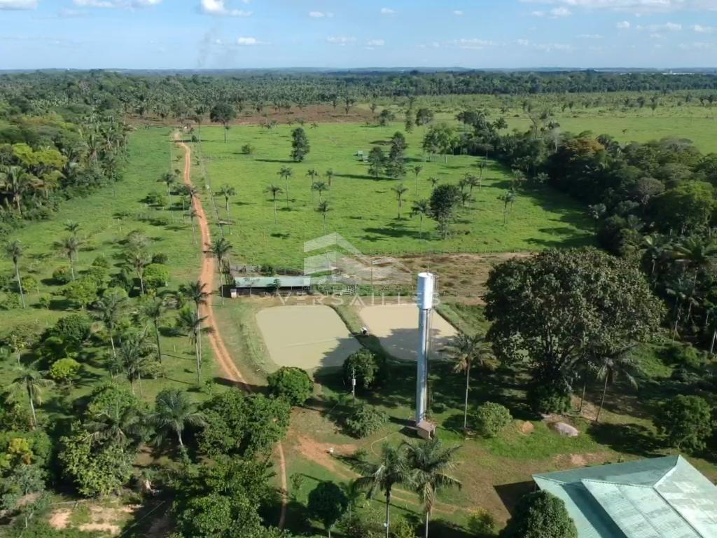 Sítio com 45 hectares no final do Cristal da Calama  Porto Velho - 