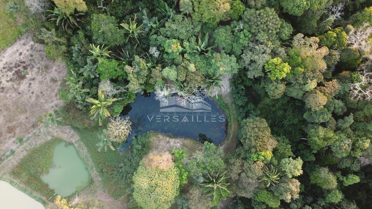 Sítio com 45 hectares no final do Cristal da Calama  Porto Velho - 