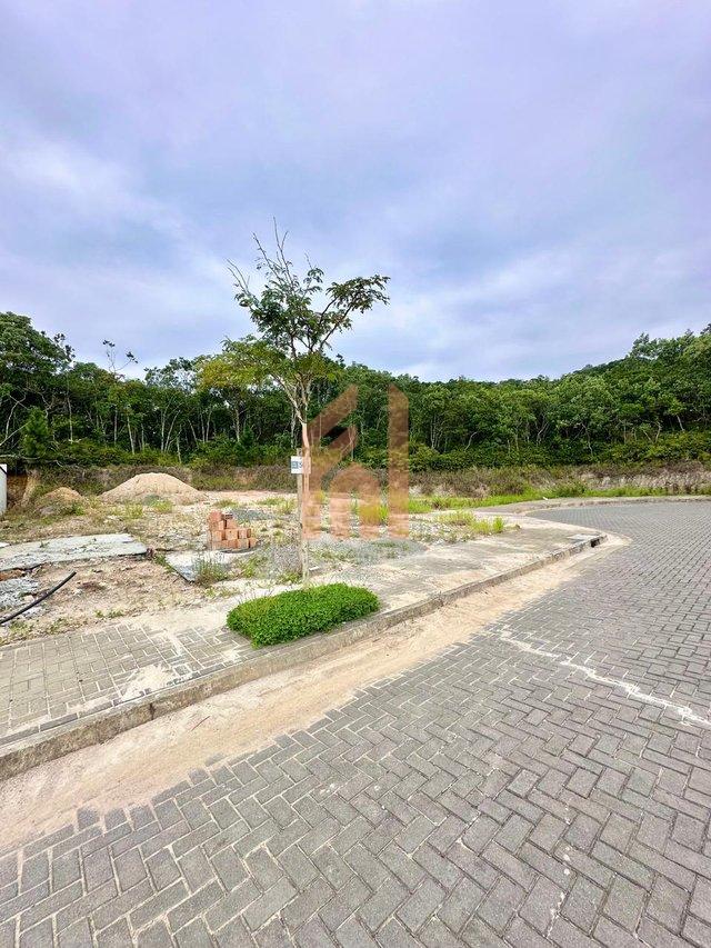 Terreno de 300m2 em um bairro internacional  - Camboriú - 